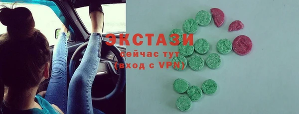 ECSTASY Богданович