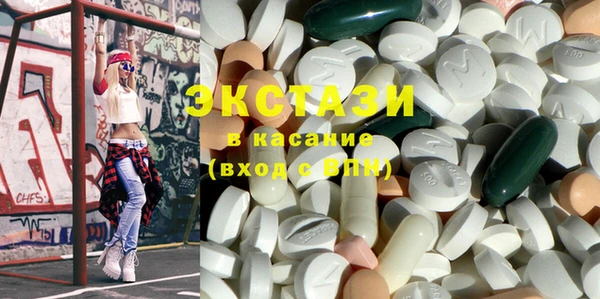 ECSTASY Богданович